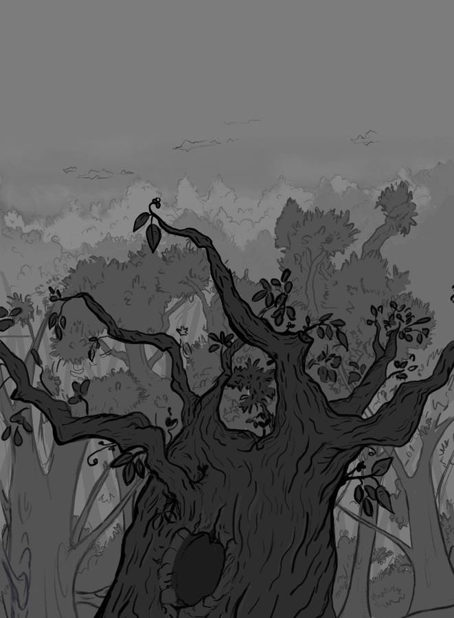 First Love — the old tree