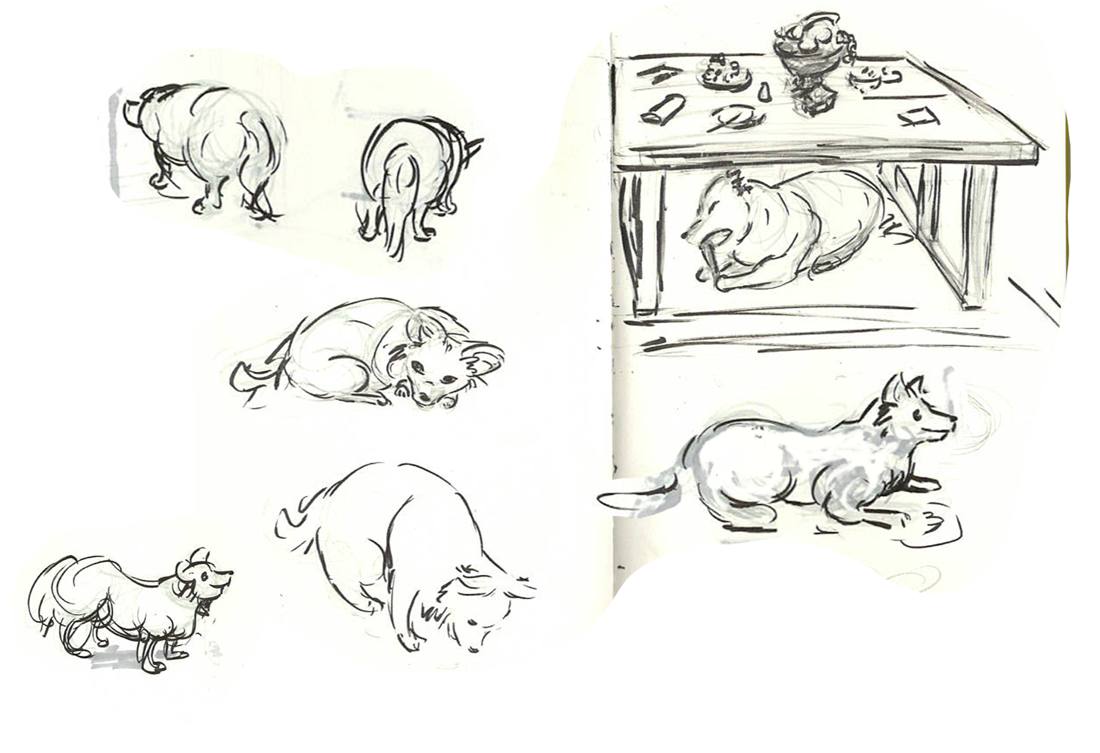 Dog studies