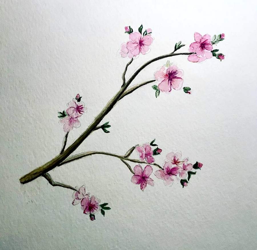 Blossom