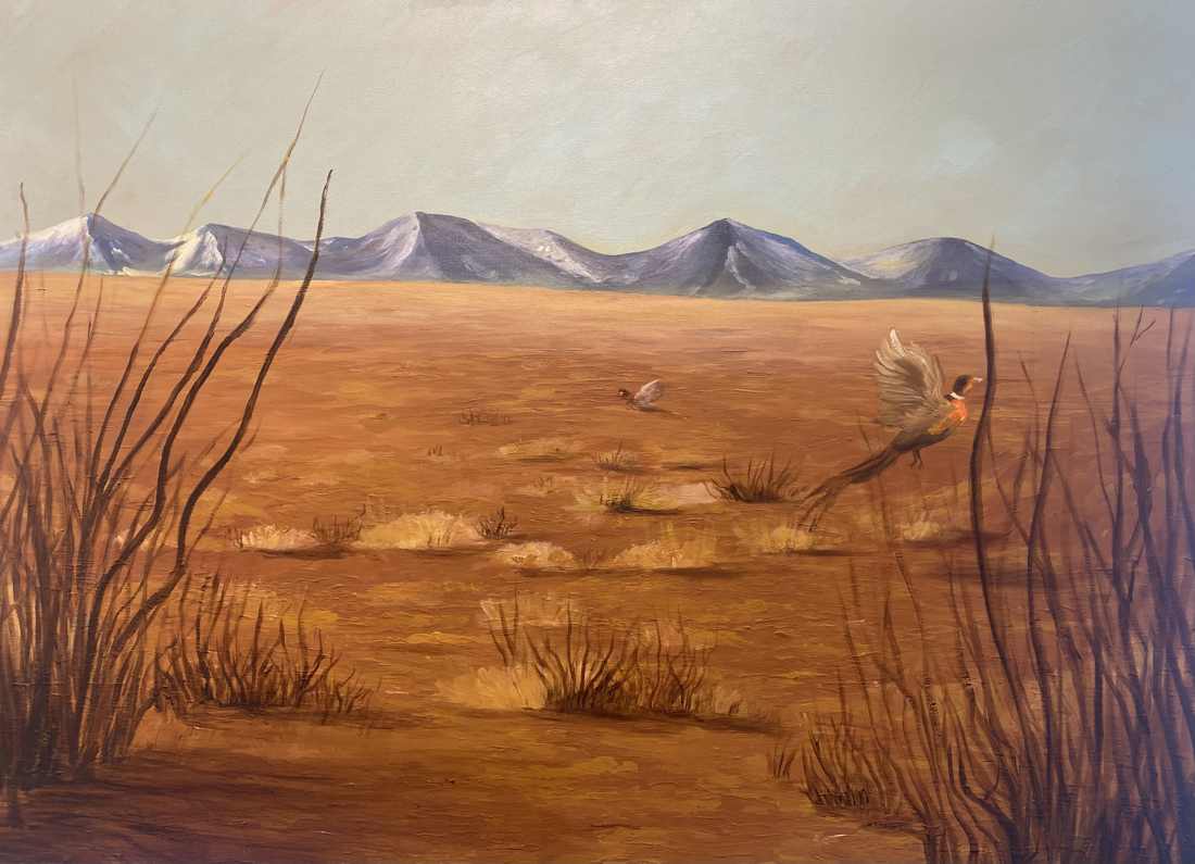 Desert