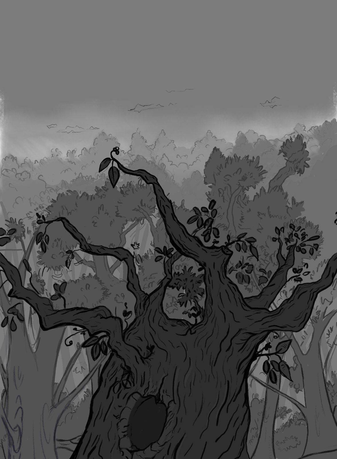 Old tree — TVPaint background